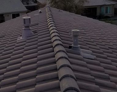 Pigeon removal trapping control deterrent pests wire roof peaks repellent roosting nesting