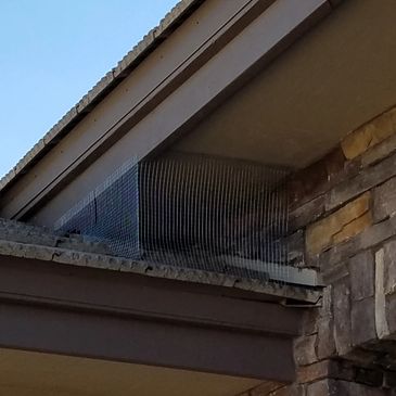 Pigeon removal trapping control deterrent pest screening pressure washing repellent roosting nesting