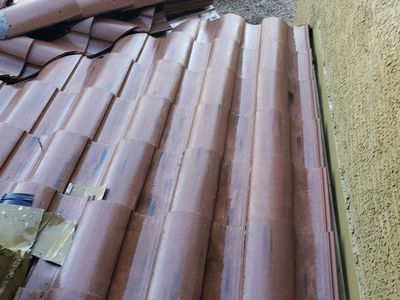 Pigeon removal trapping control deterrent pests cleaning pressure washing repellent roosting nesting