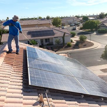 Pigeon Removal Solar panel pressure washing trapping control deterrent pest screening
