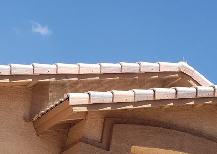 Pigeon removal trapping control deterrent cleaning alcove roosting nesting roof