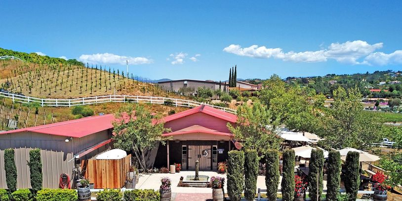 Sunny vineyard with a red-roofed building and outdoor seating area.