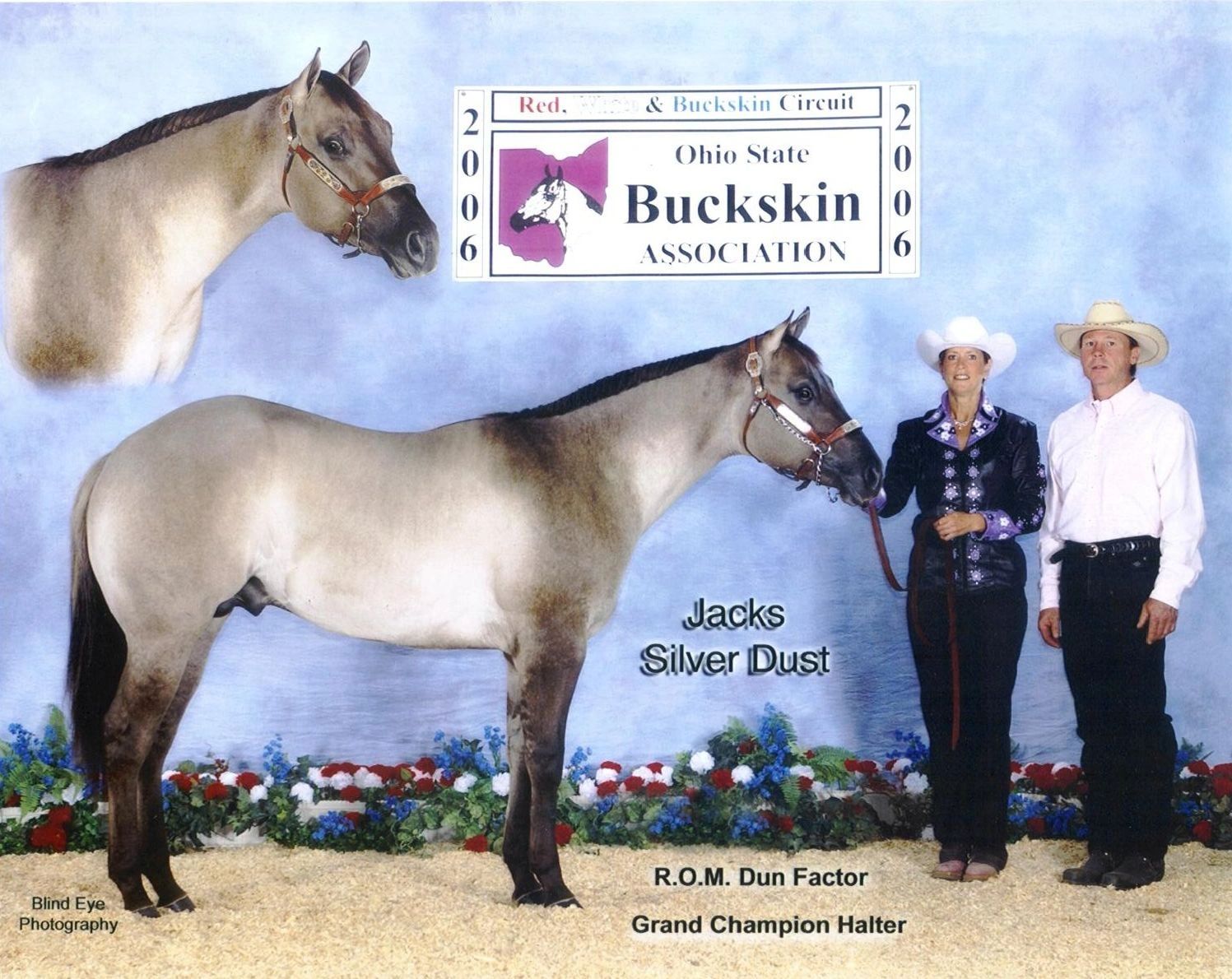 world champion grulla stallion