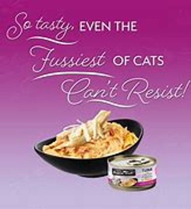 So tasty even the Cat food