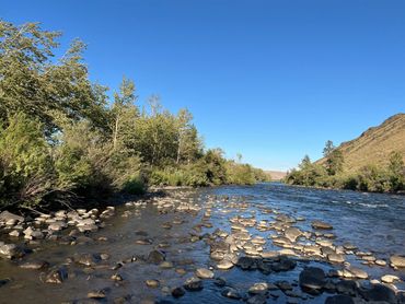 Naches River Summer Day