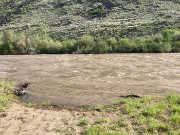 Naches River Runoff