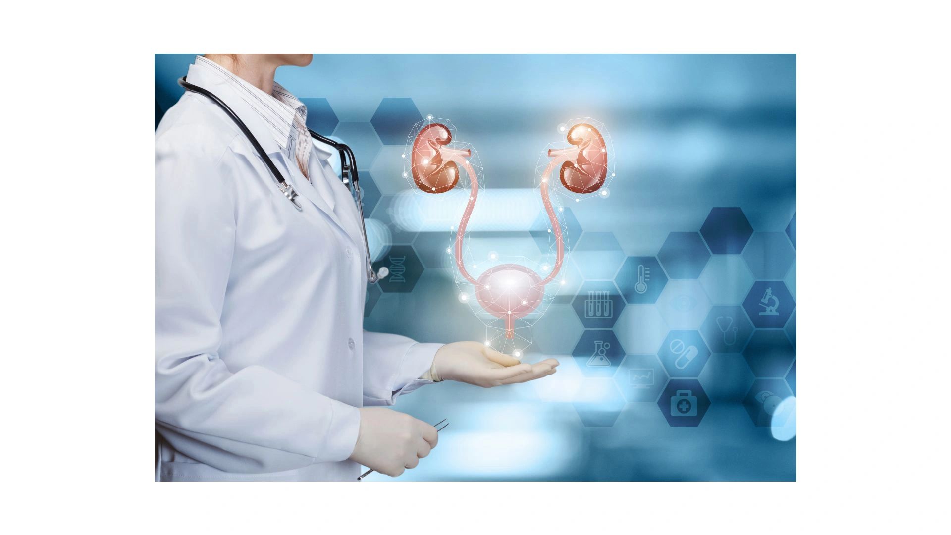 Kidney doctor/newport beach/orange county/nephrologist/best nephrologist in orange county