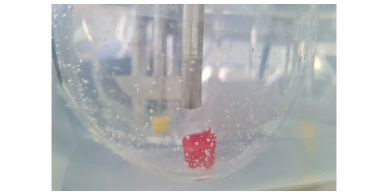 Red object inside a clear spherical container filled with liquid.