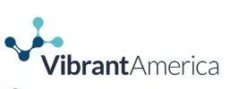 VIBRANT AMERICA KIT COLLECTION PARTNER