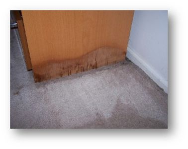 carpet furniture damage