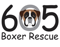 605 Boxer Rescue