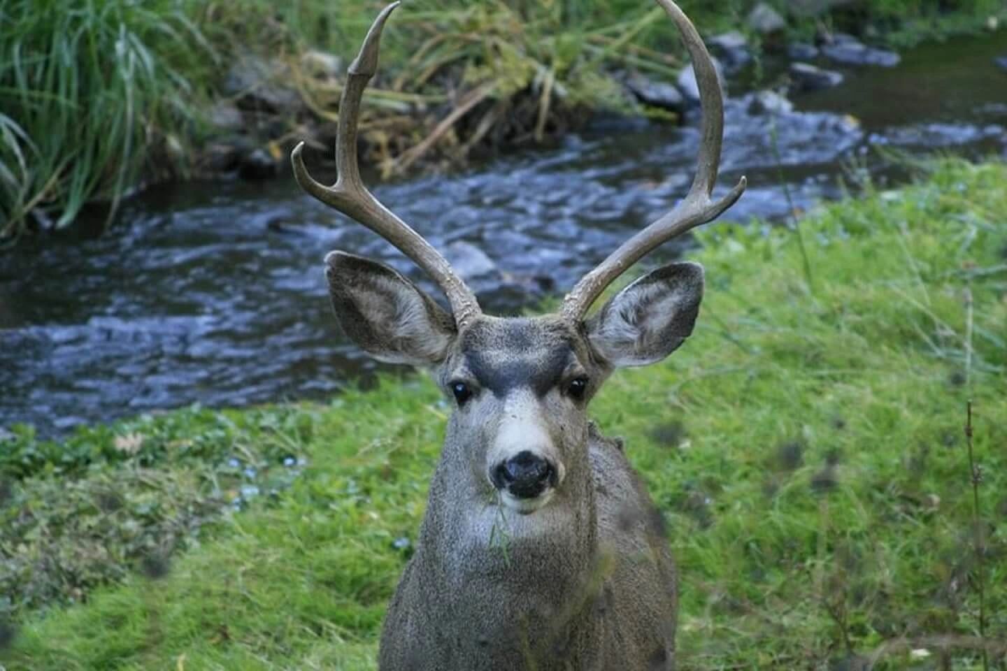 Mountain Air Realty Mountain Air Realty