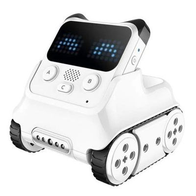 educational robot: codey-rocky
