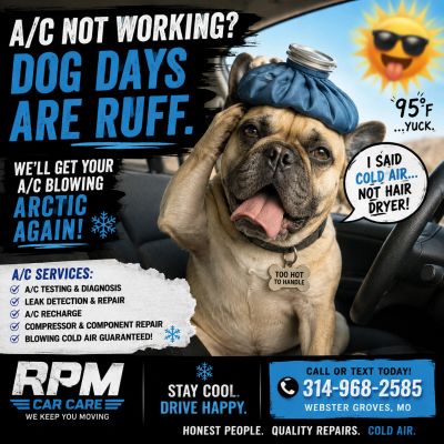 Ad for A/C repair featuring a dog with an ice pack on its head.