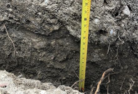 Treatments to Improve the Health of Your Trees. Let us help you to mitigate damage from compaction, road salt, and other common stressors.