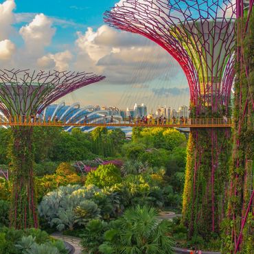 gardens by the bay (supertree grove)