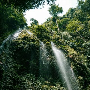 LUSH WATERFALL