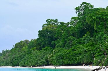 ISLAND COASTLINE