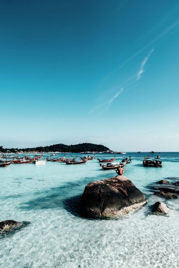TROPICAL SHORELINE