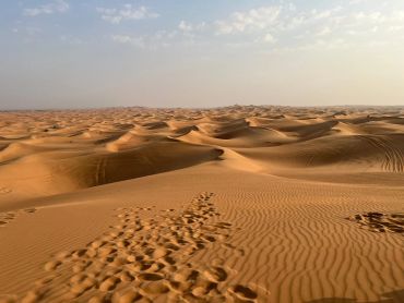 ARABIAN DESERT