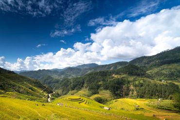 MU CANG CHAI VALLEY