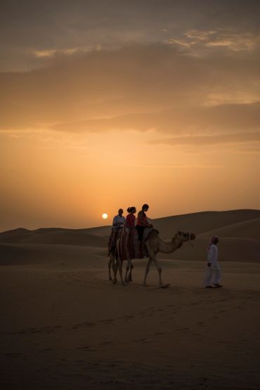 DESERT CAMEL TREKKING