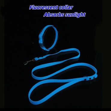 Glow in the dark collars
Keep your dog safe at night