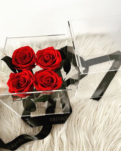 Flowers, roses love gift birthday flower in a box enchanted rose dome Valentine’s Day birthday gift