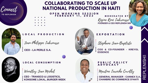National Production in Haiti.  Local Production. Local Consumption. Exports. Public Policy.