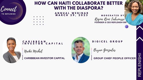 Capital Investments.  Telecommunications. Haiti. Diaspora.