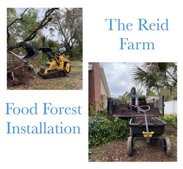 Plant and tree installation