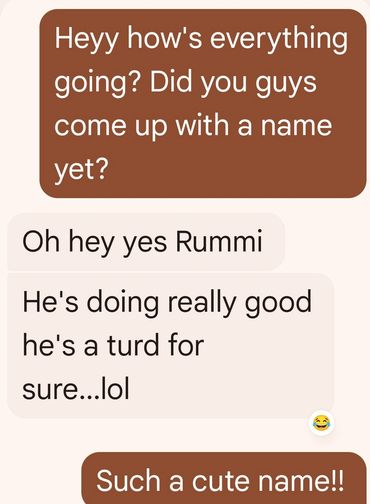 Text conversation about naming someone Rummi and calling him a turd in a funny way.