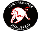 Luiz Palhares
