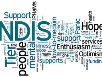 Initial NDIS 90 minute session