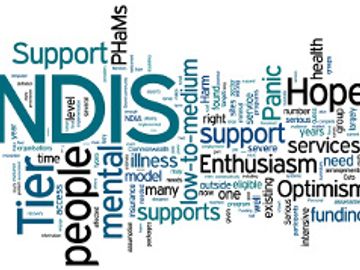 NDIS, it takes a tribe.