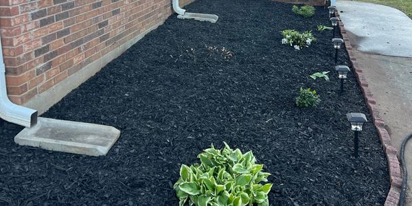Freshly mulched garden bed with young plants along a brick house.