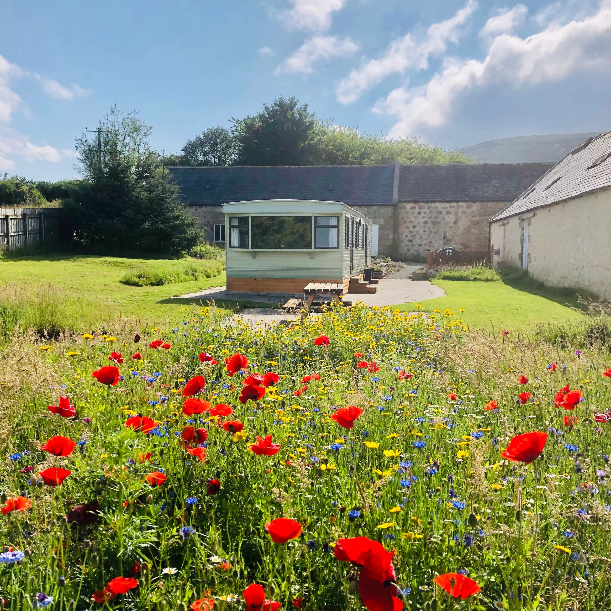 Our holiday home located by our steadings with many wildflowers in front
