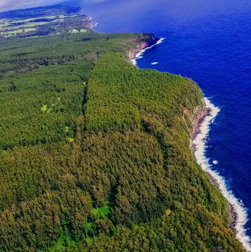 Acres and acres of oceanfront land