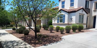 Landscape maintenance including trimming, weed removal, and cleanup