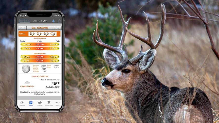 Solunar Tables iPhone app gives best hunting and best fishing times for any date, any location — wor