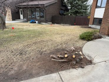 A fresh spring clean up!