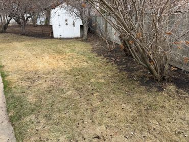 A fresh spring clean up