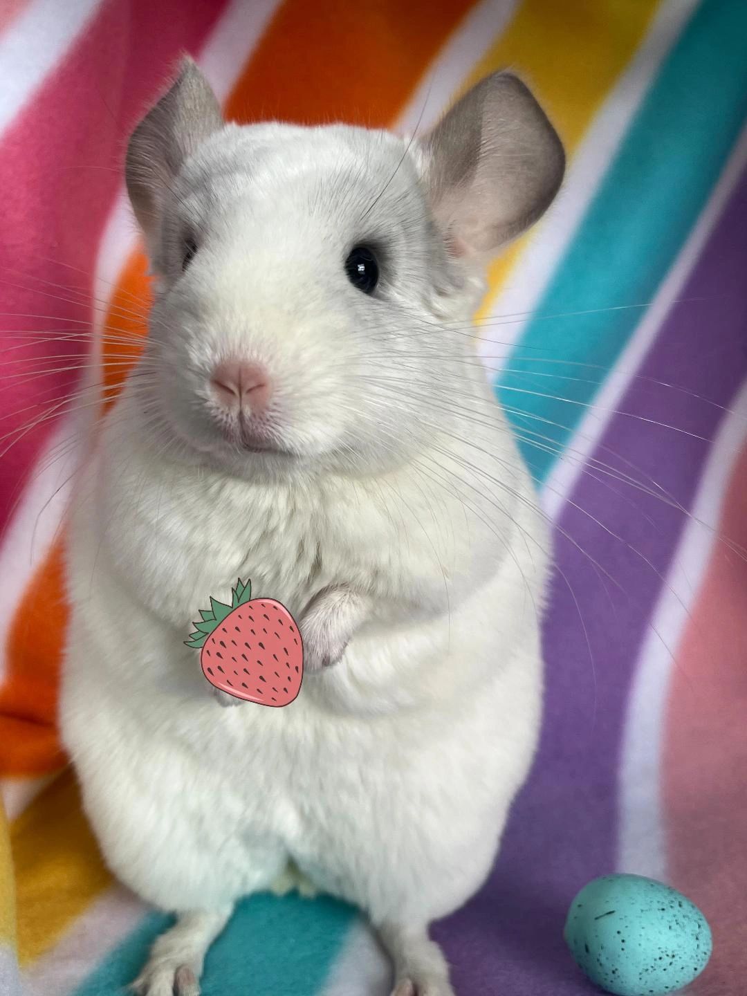 All Products, image size:1080x1440