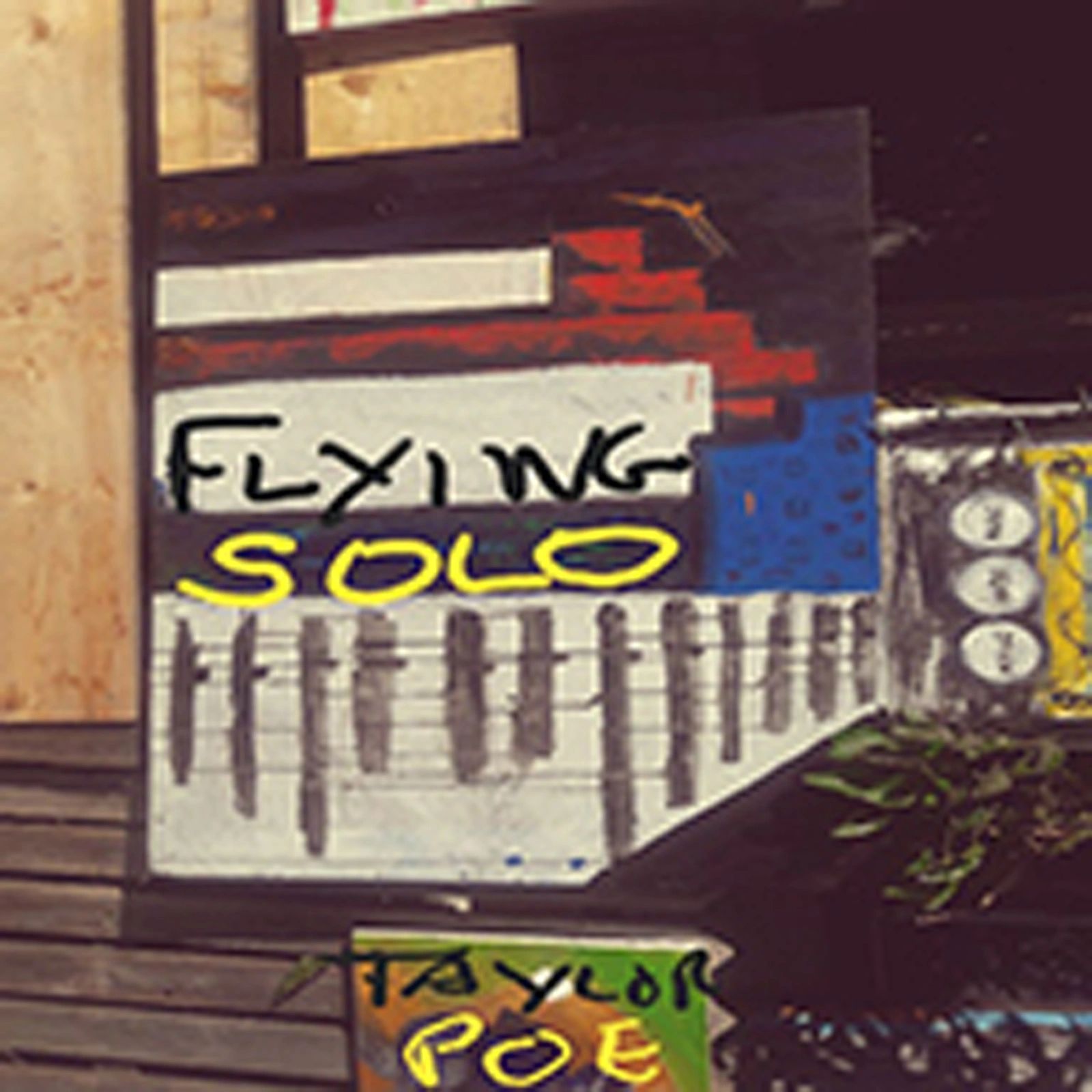 Taylor poe essay picture