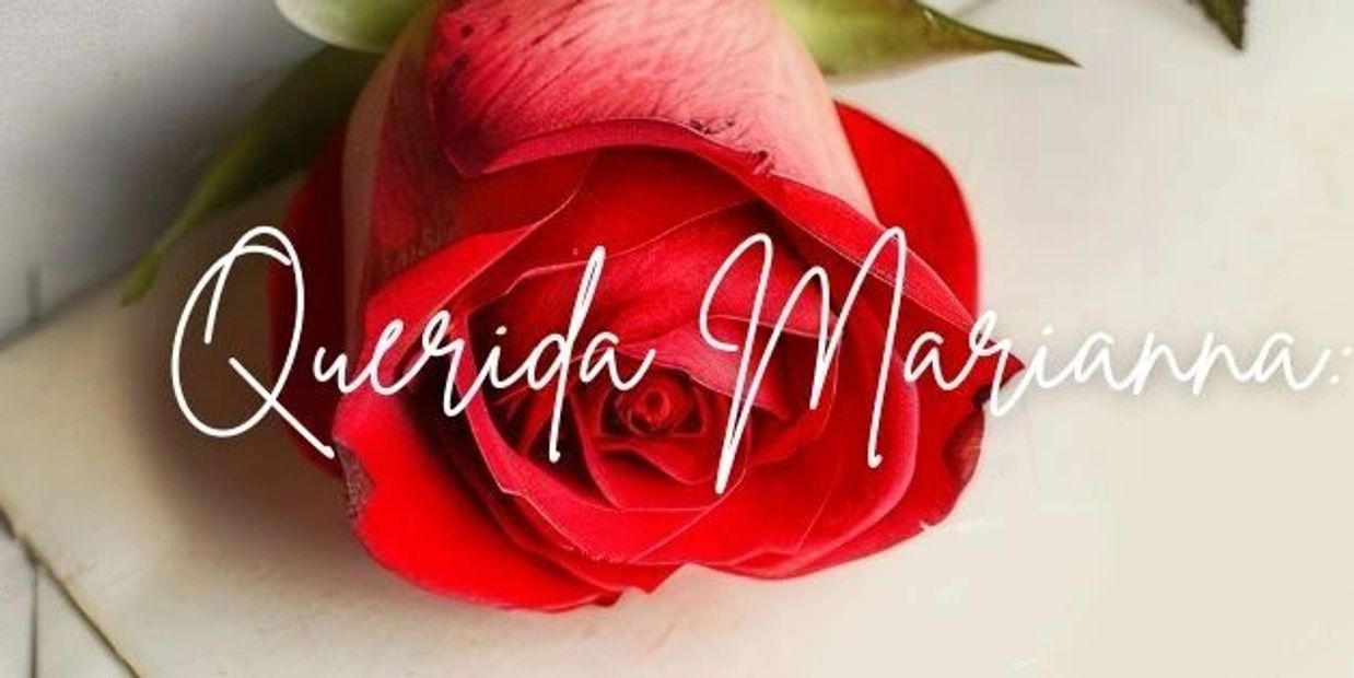 A red rose with 'Querida Marianna:' written over it in elegant script.