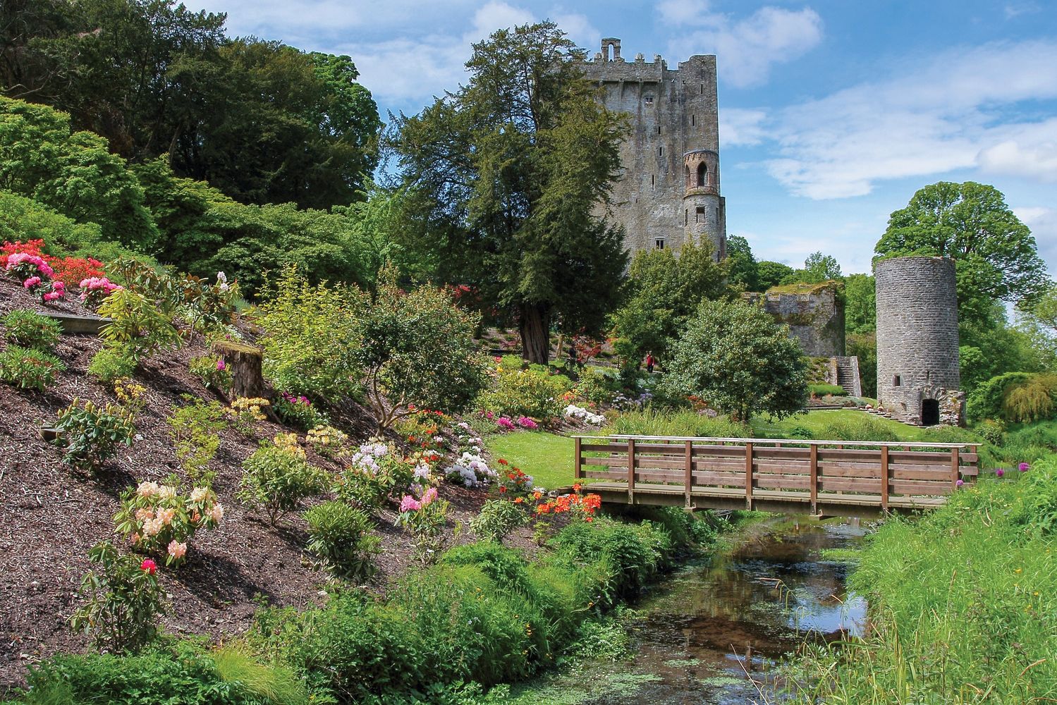 Ireland's Blarney Castle and Gardens