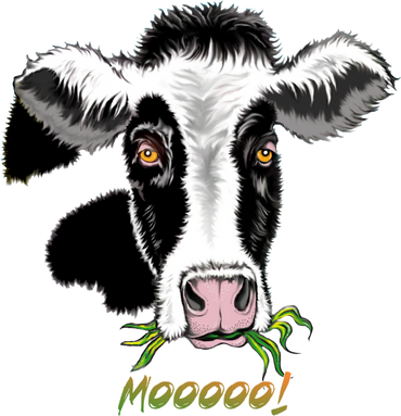 Cow Moooo!