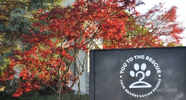 You To The Rescue - Your Brands Saving Breeds shop sign