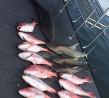 Texas-Red-Snapper-Fishing
