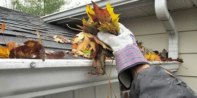 Gutter Cleaning